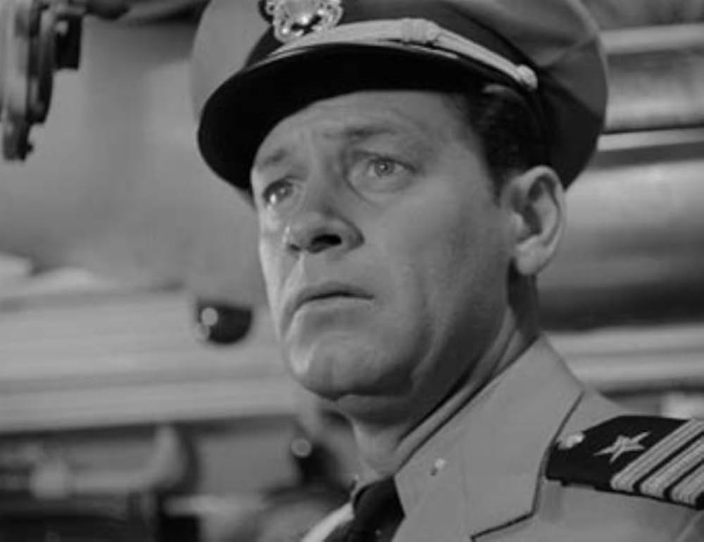 太平洋の虎鮫の画像