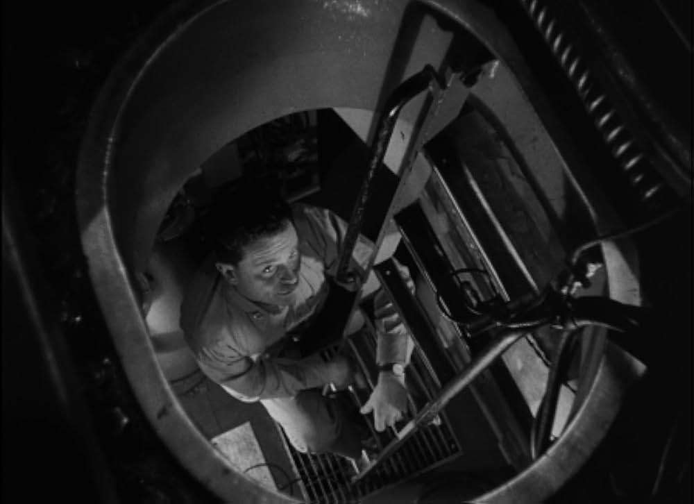 太平洋の虎鮫の画像