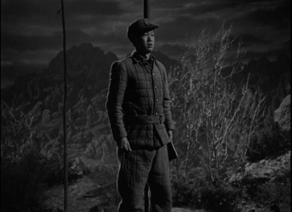 太平洋の虎鮫の画像