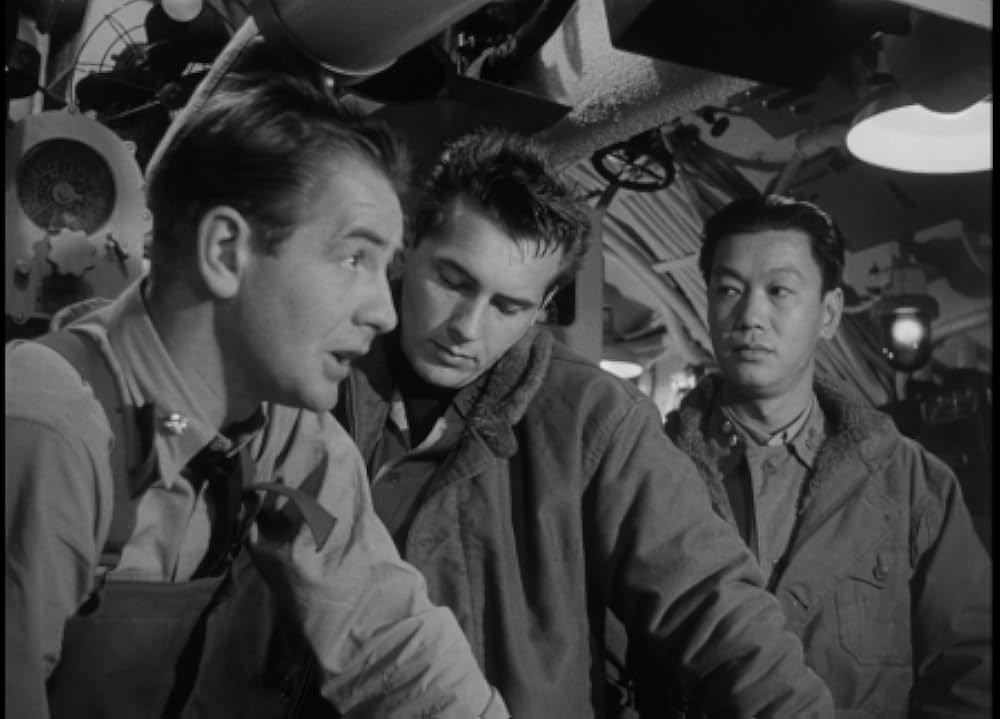 太平洋の虎鮫の画像