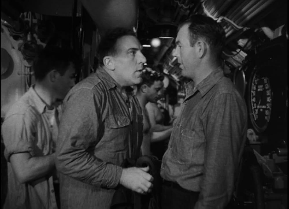 太平洋の虎鮫の画像