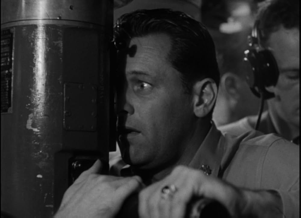 太平洋の虎鮫の画像