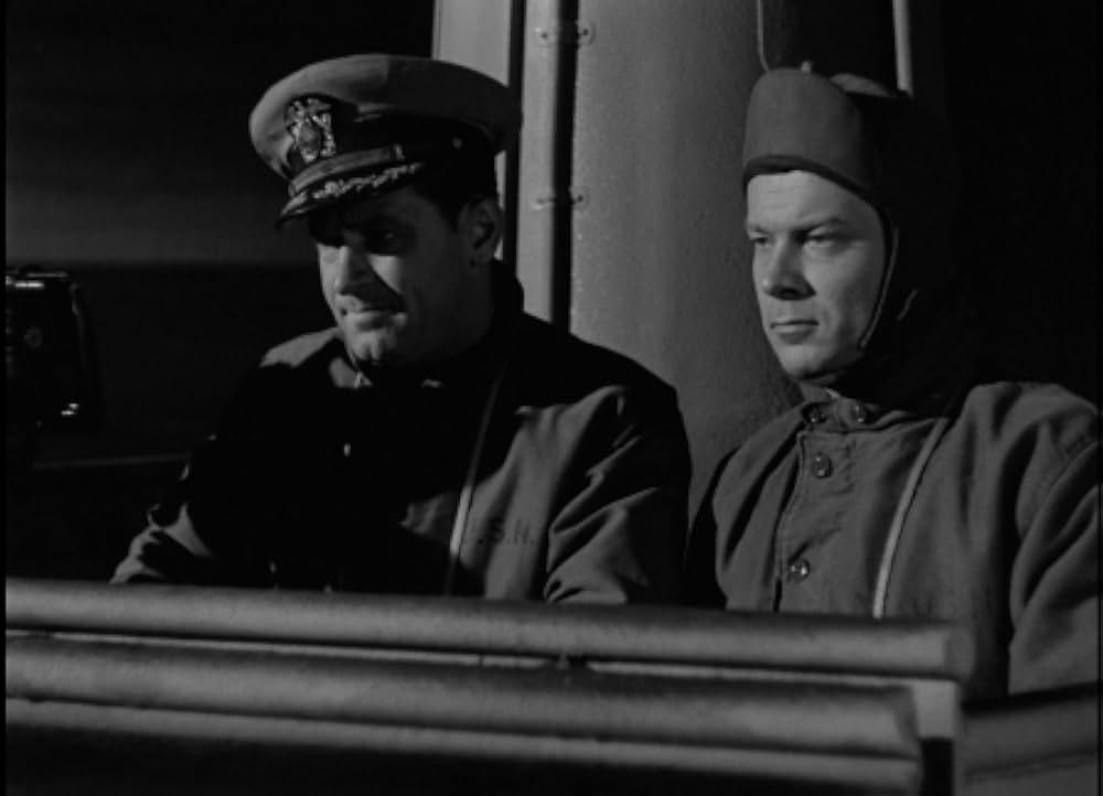 太平洋の虎鮫の画像