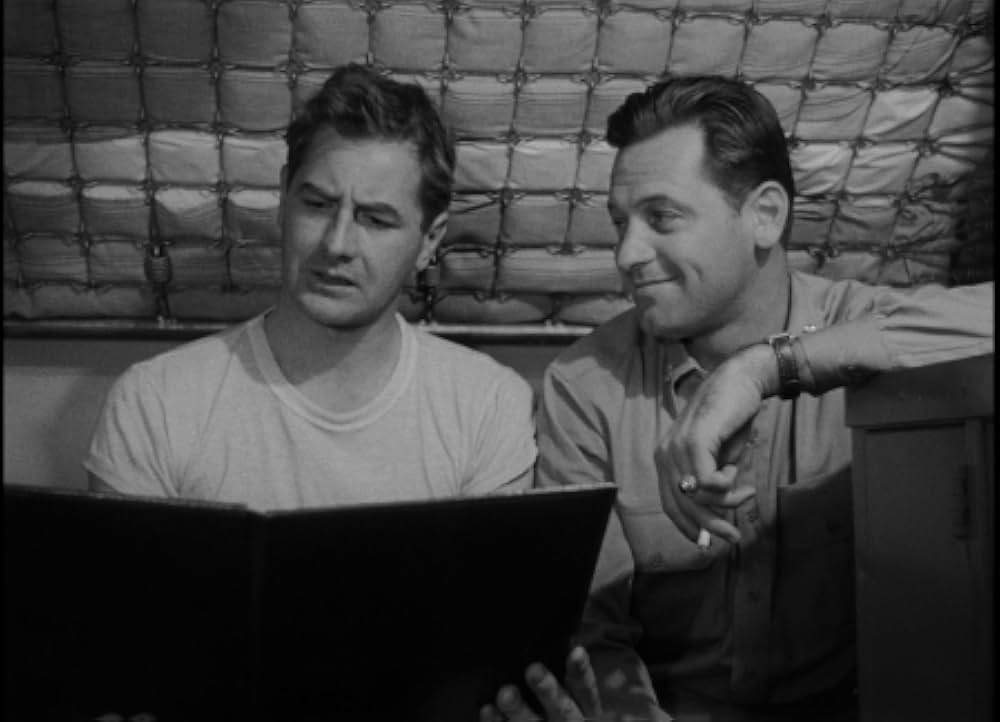 太平洋の虎鮫の画像