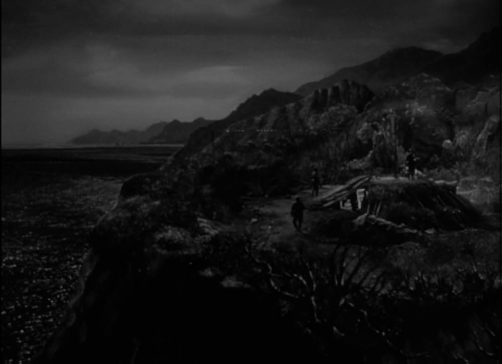 太平洋の虎鮫の画像