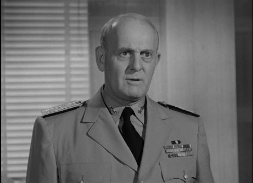 太平洋の虎鮫の画像