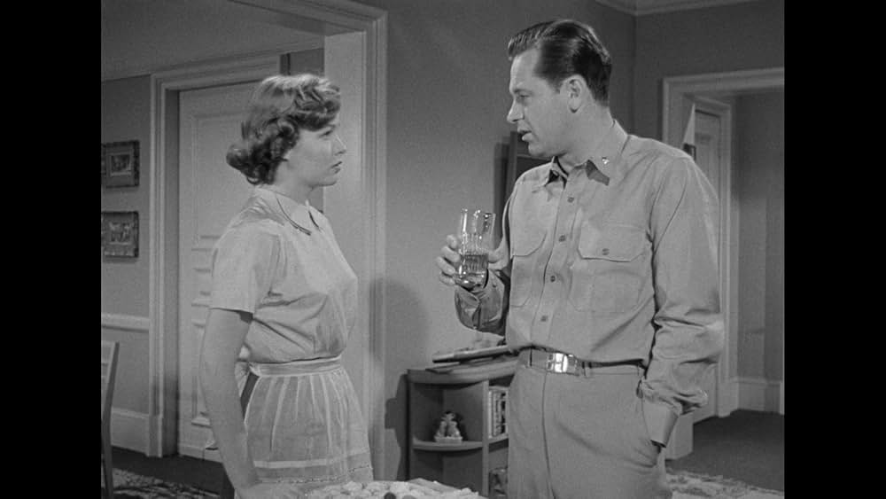 太平洋の虎鮫の画像