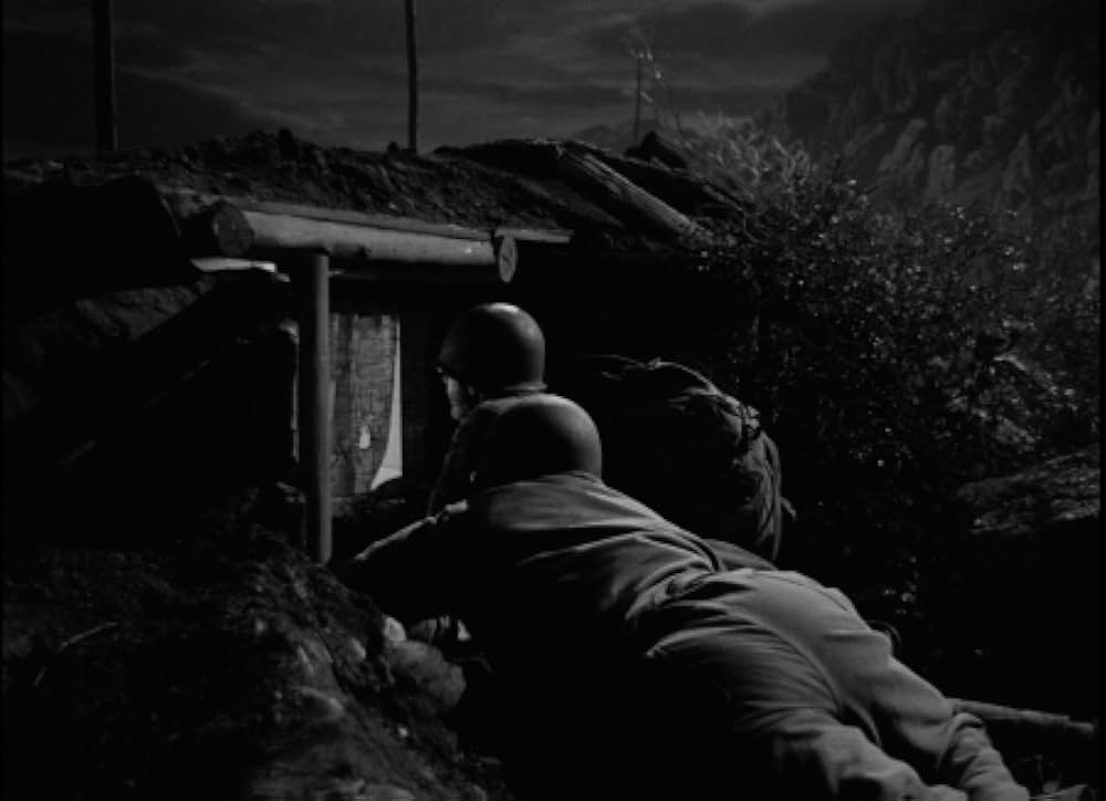 太平洋の虎鮫の画像