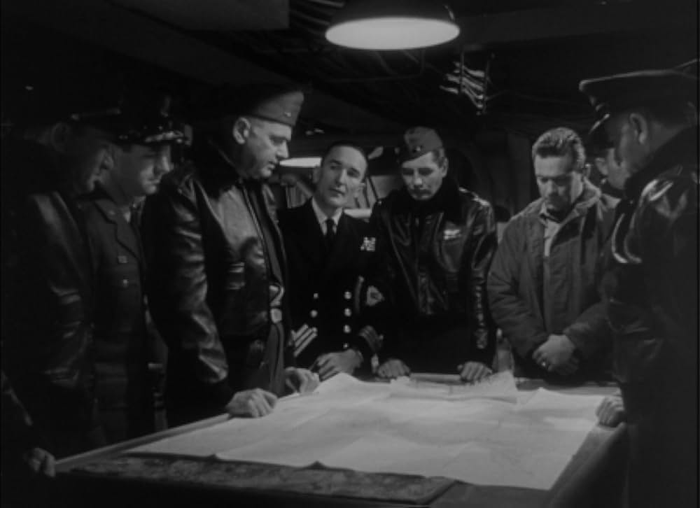 太平洋の虎鮫の画像