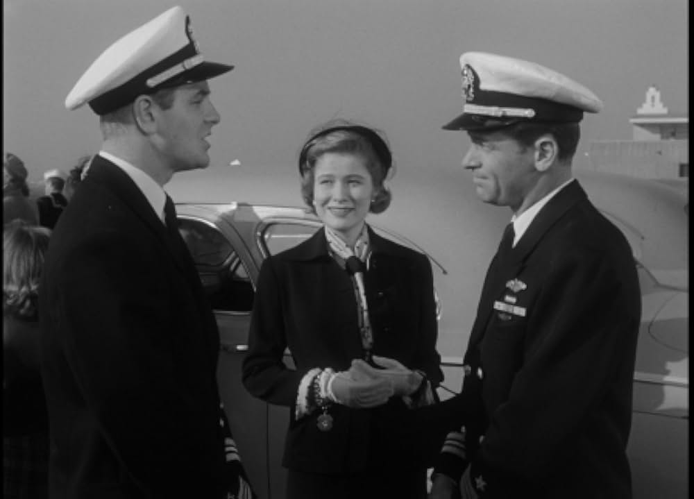 太平洋の虎鮫の画像