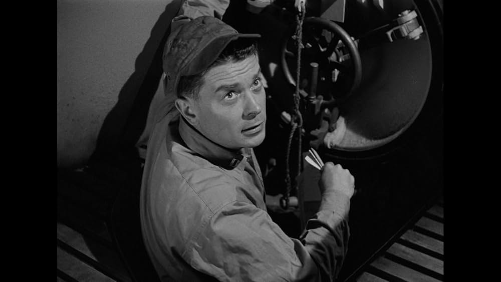 太平洋の虎鮫の画像