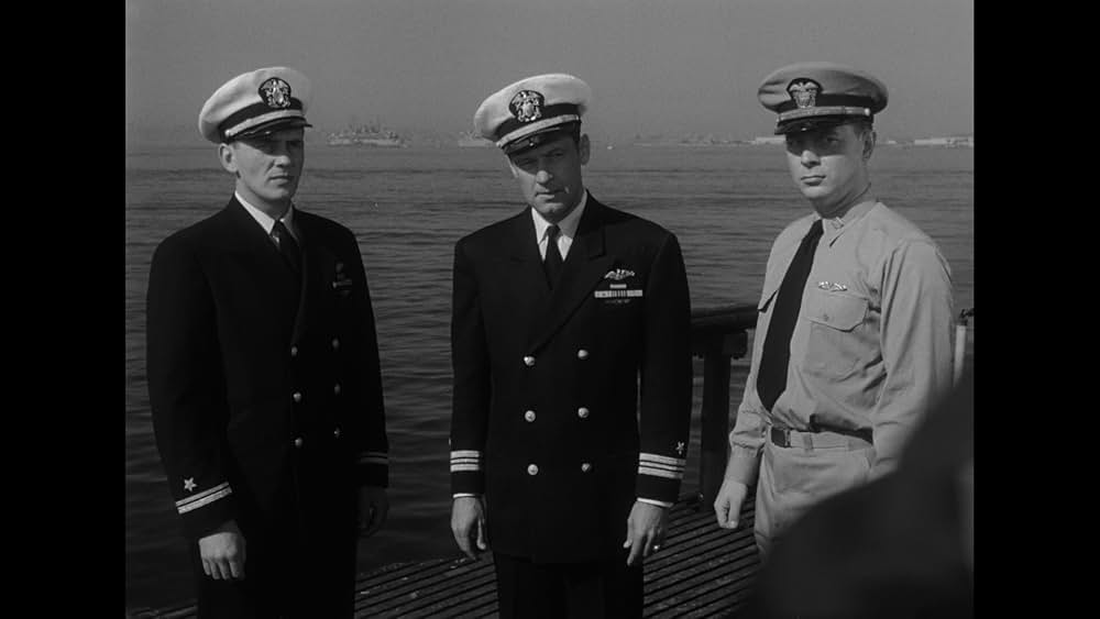 太平洋の虎鮫の画像