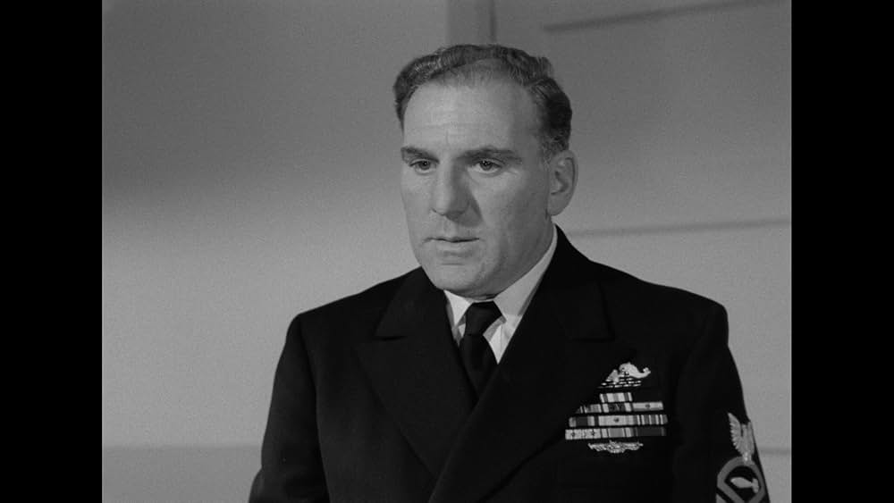 太平洋の虎鮫の画像