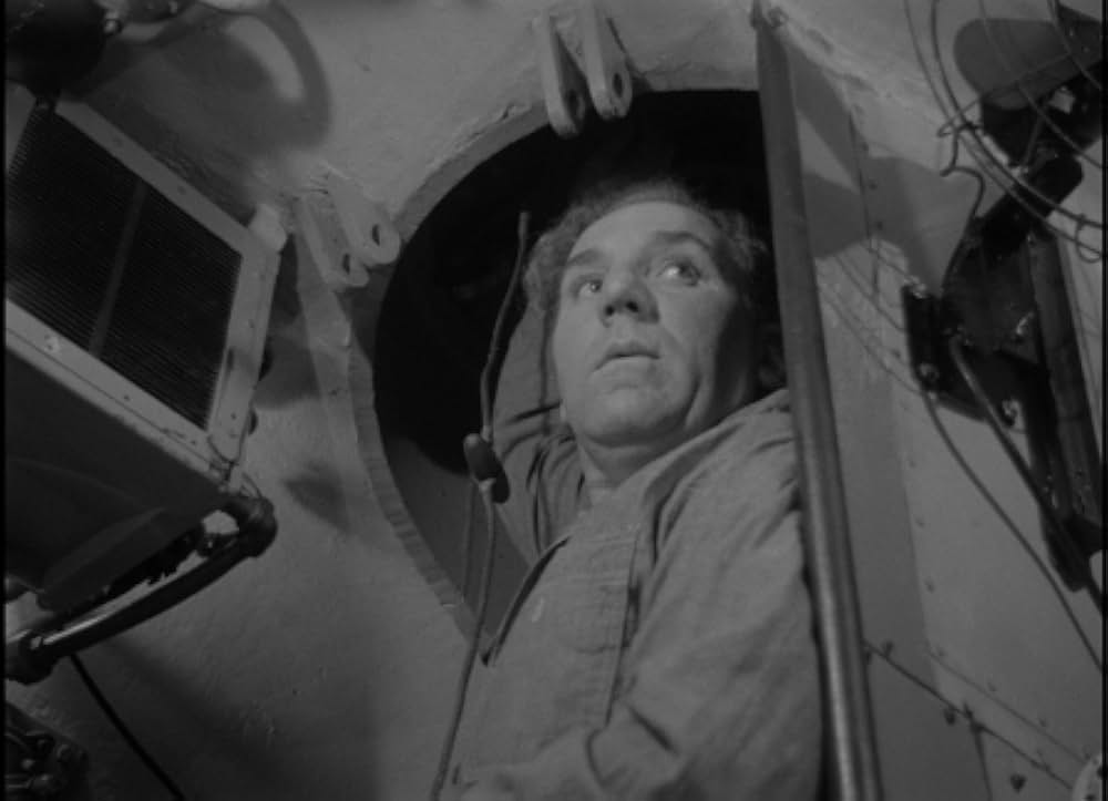 太平洋の虎鮫の画像