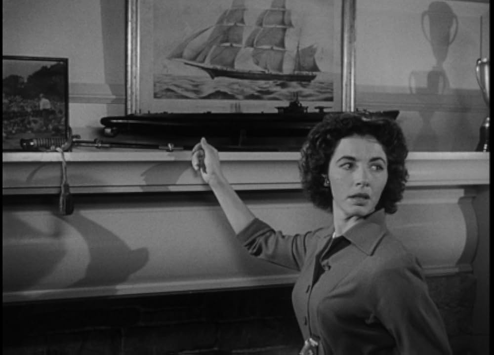 太平洋の虎鮫の画像