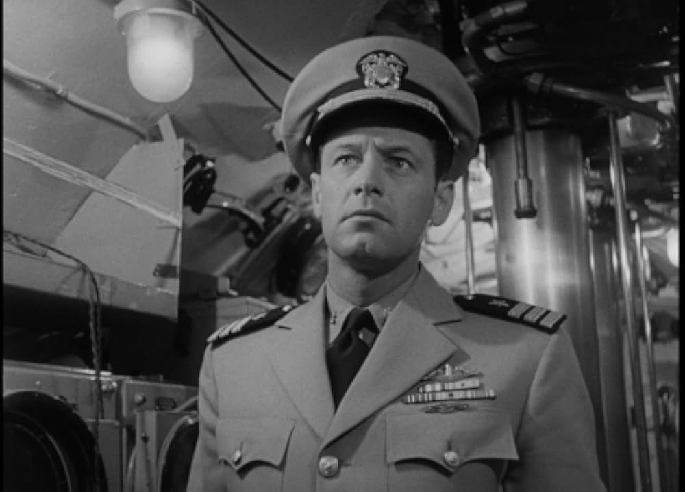 太平洋の虎鮫の画像