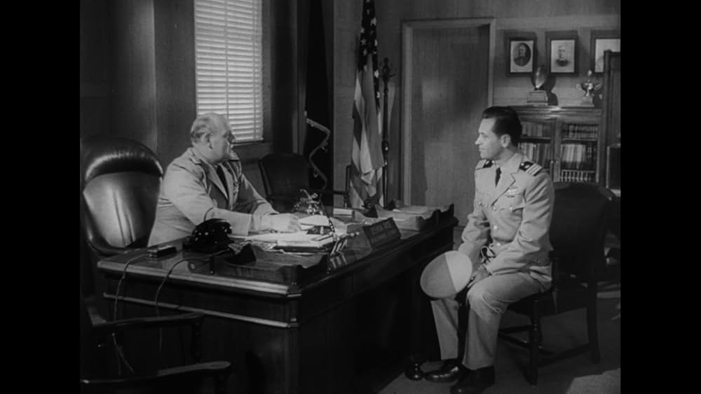 太平洋の虎鮫の画像