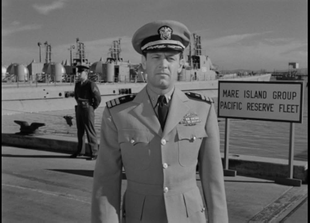 太平洋の虎鮫の画像