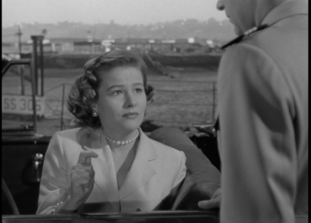 太平洋の虎鮫の画像