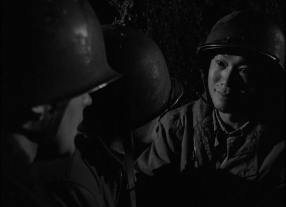 太平洋の虎鮫の画像