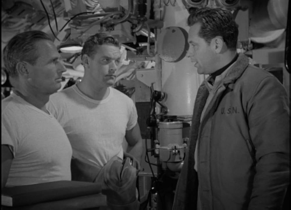 太平洋の虎鮫の画像