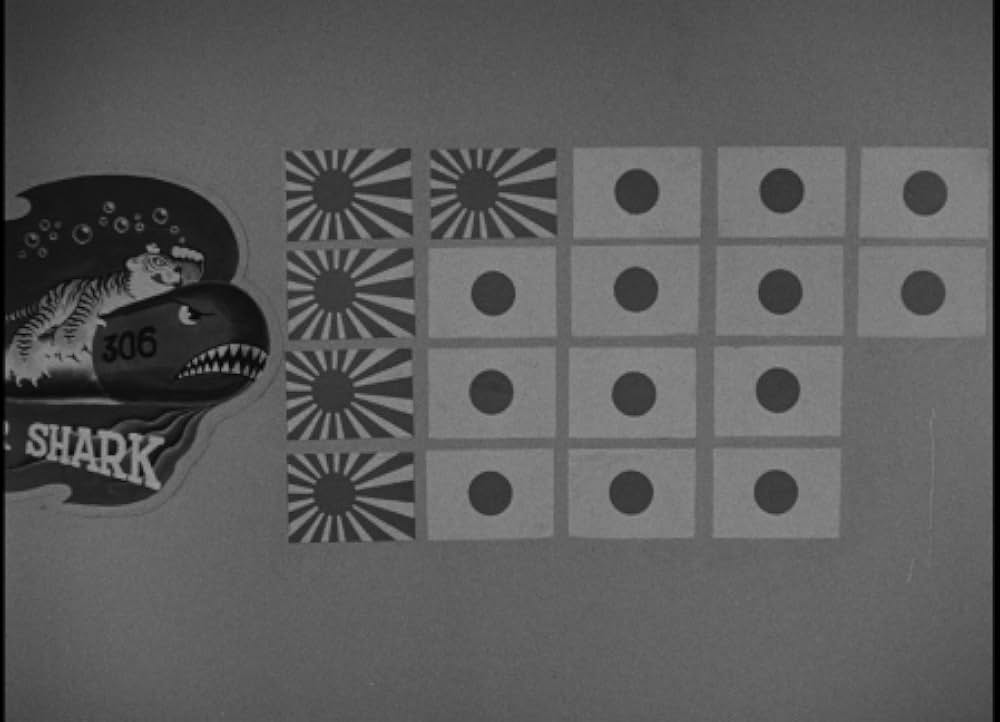 太平洋の虎鮫の画像