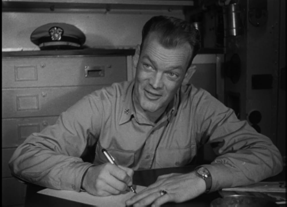 太平洋の虎鮫の画像