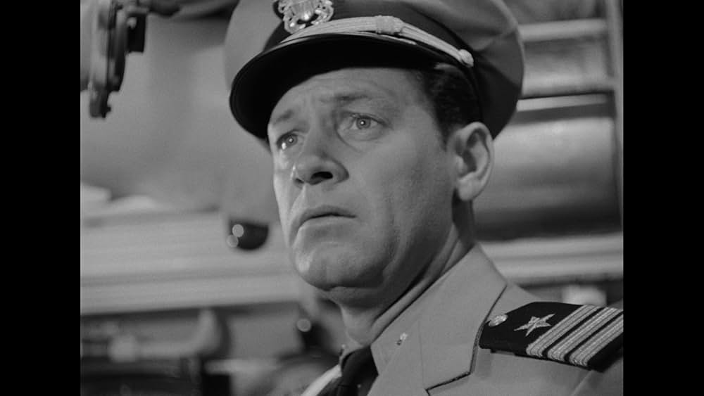 太平洋の虎鮫の画像