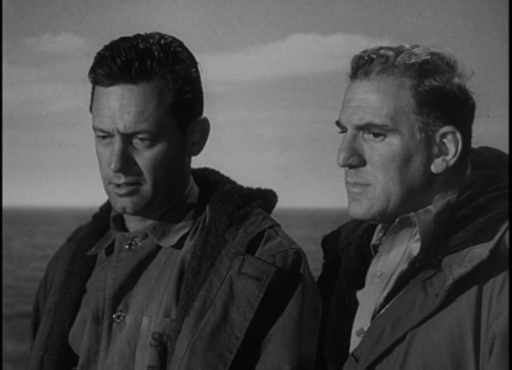 太平洋の虎鮫の画像