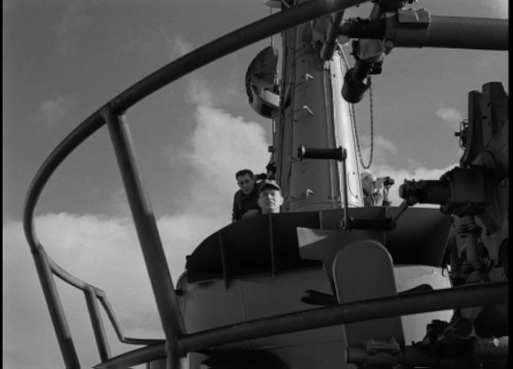 太平洋の虎鮫の画像