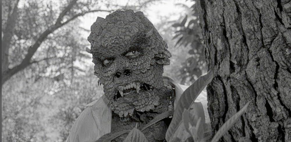 太陽の怪物の画像