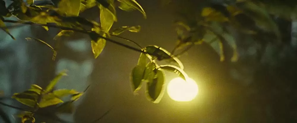 スラムドッグ$ミリオネアの画像