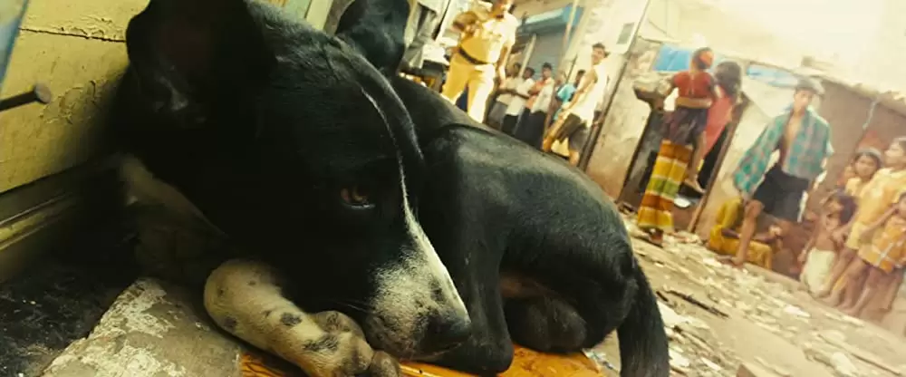 スラムドッグ$ミリオネアの画像