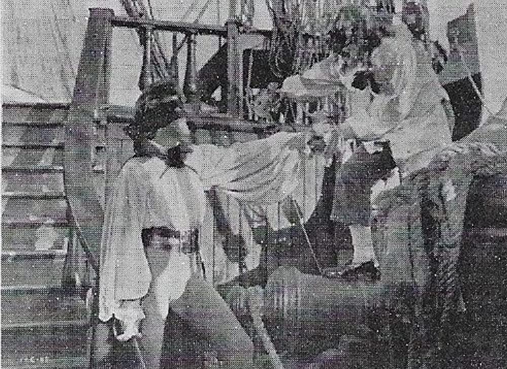 地中海の虎の画像