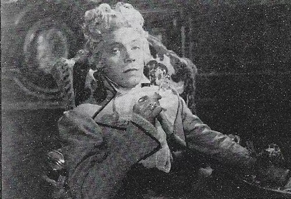 地中海の虎の画像