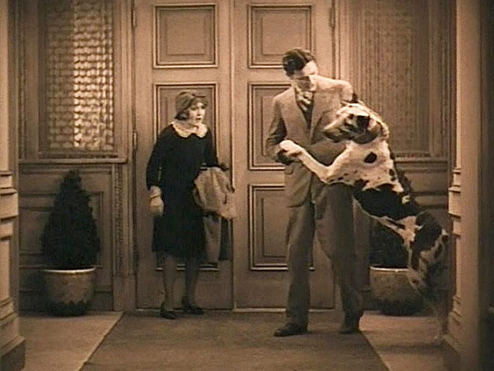 デパート娘大学の画像