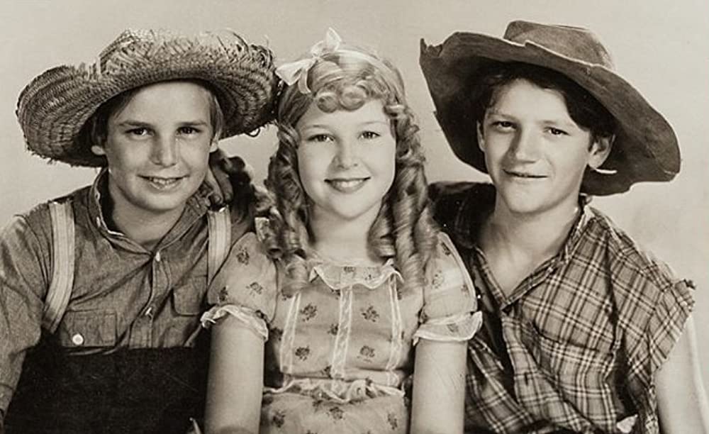 トム・ソーヤの冒険の画像