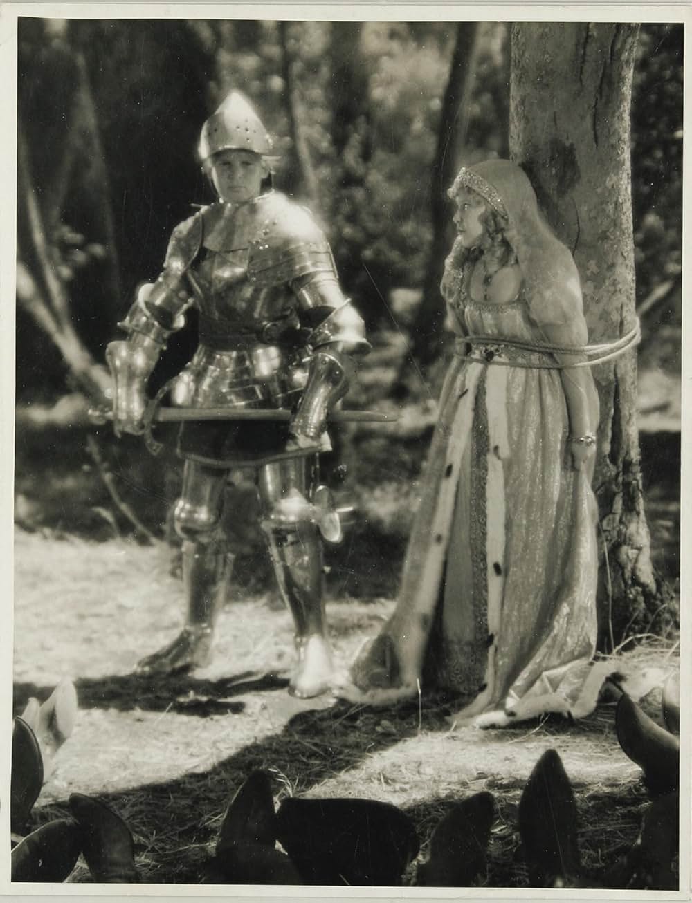 トム・ソーヤの冒険の画像