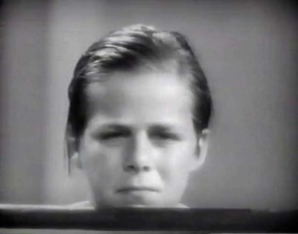 トム・ソーヤの冒険の画像