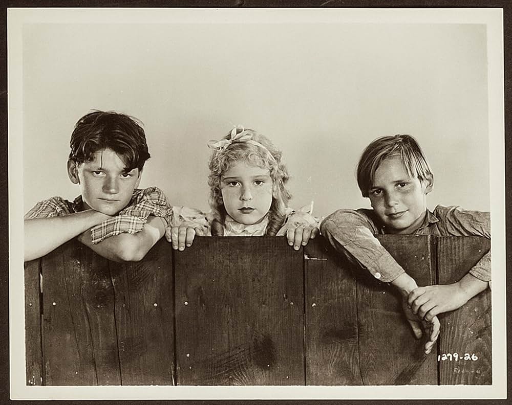 トム・ソーヤの冒険の画像