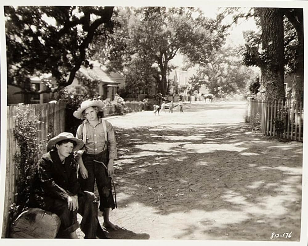 トム・ソーヤの冒険の画像