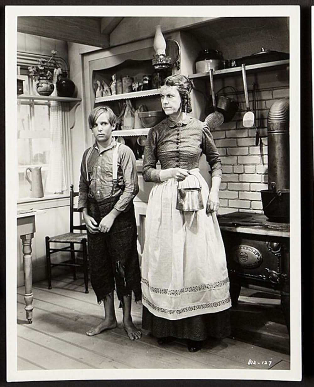 トム・ソーヤの冒険の画像