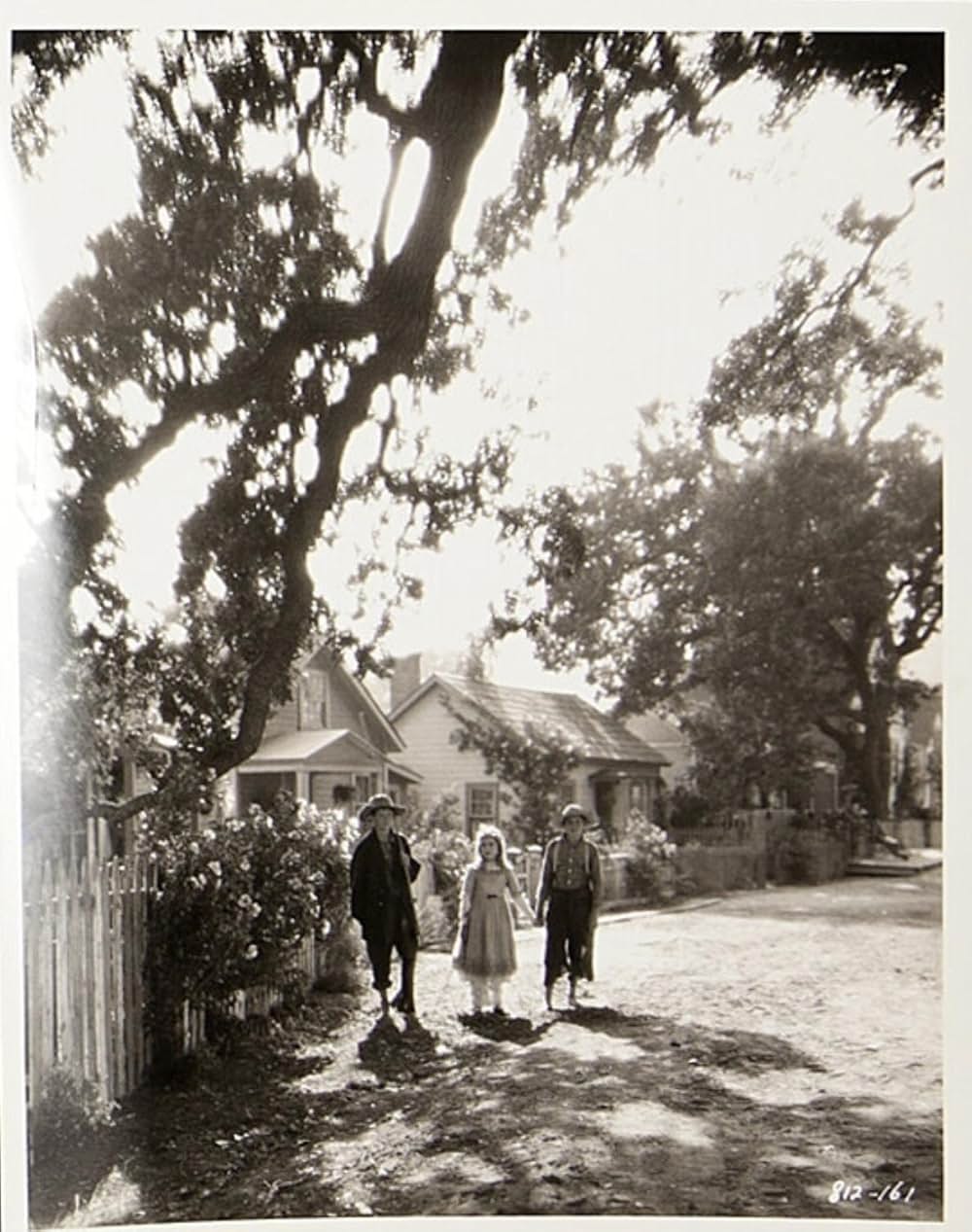 トム・ソーヤの冒険の画像