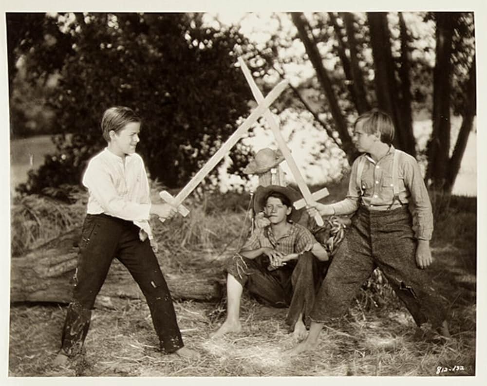 トム・ソーヤの冒険の画像