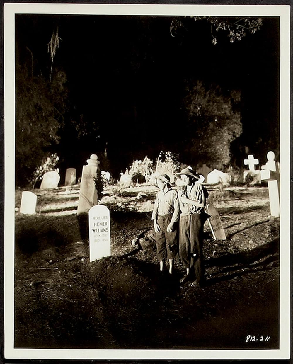 トム・ソーヤの冒険の画像