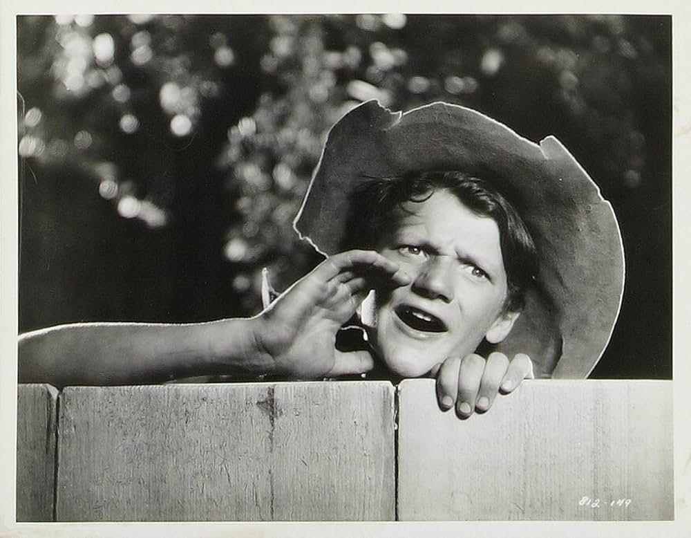 トム・ソーヤの冒険の画像