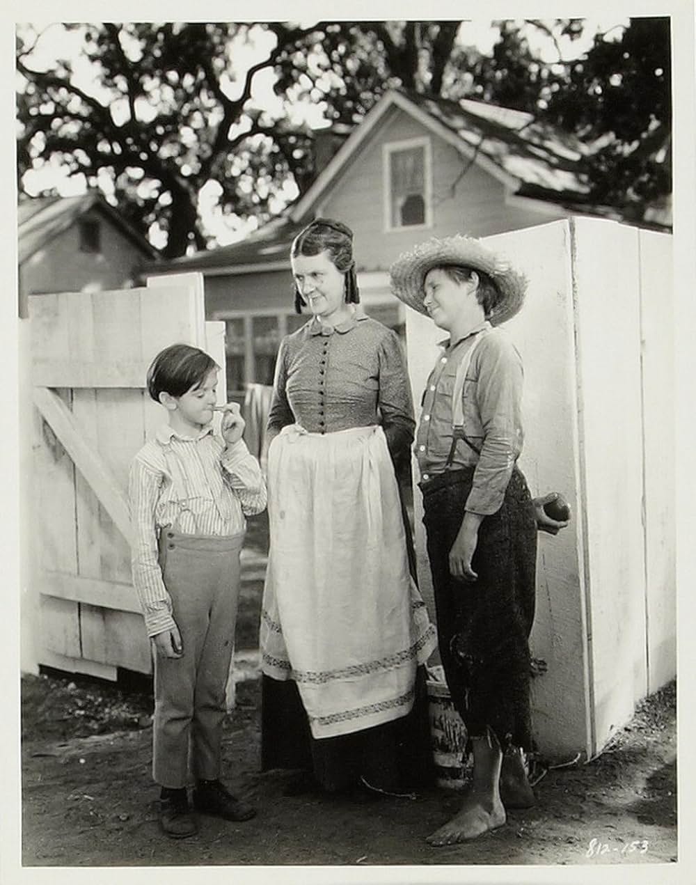 トム・ソーヤの冒険の画像