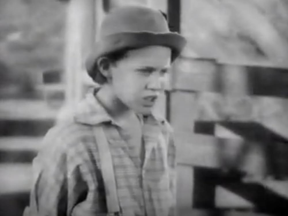 トム・ソーヤの冒険の画像