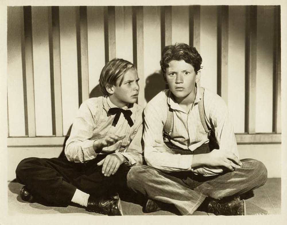 トム・ソーヤの冒険の画像