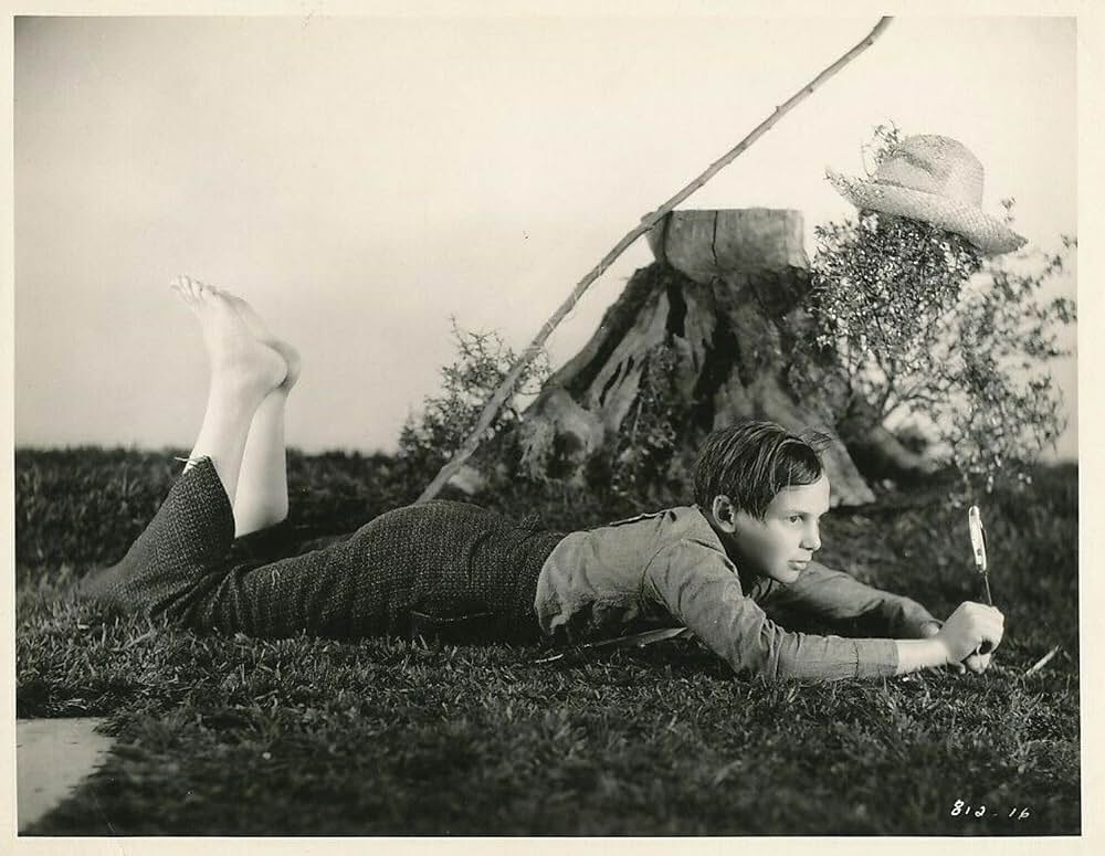 トム・ソーヤの冒険の画像